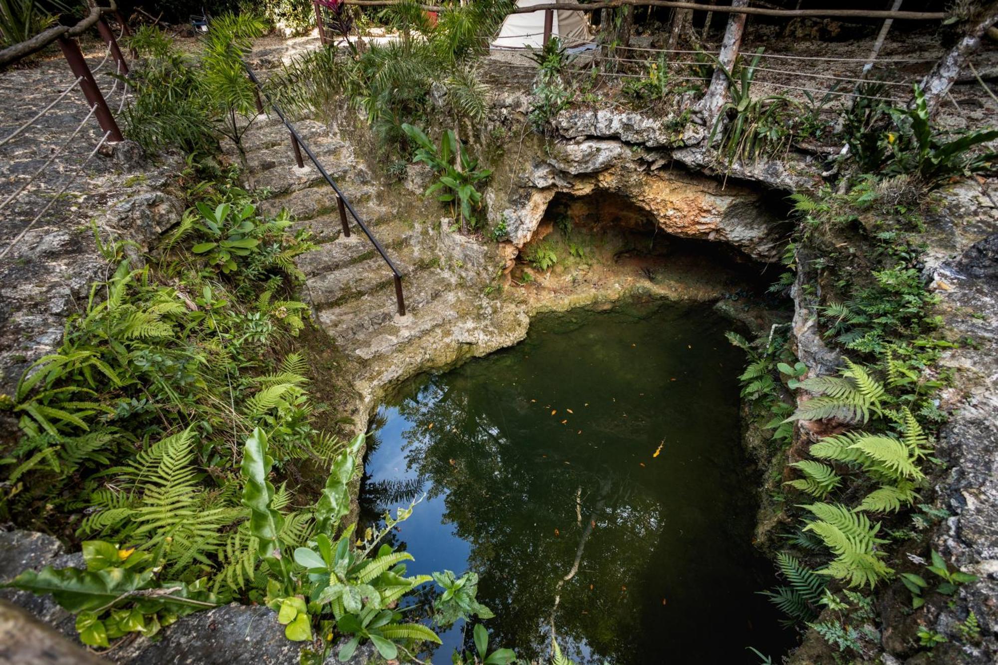 Cheel Lodge & Camping Puerto Morelos Exterior foto